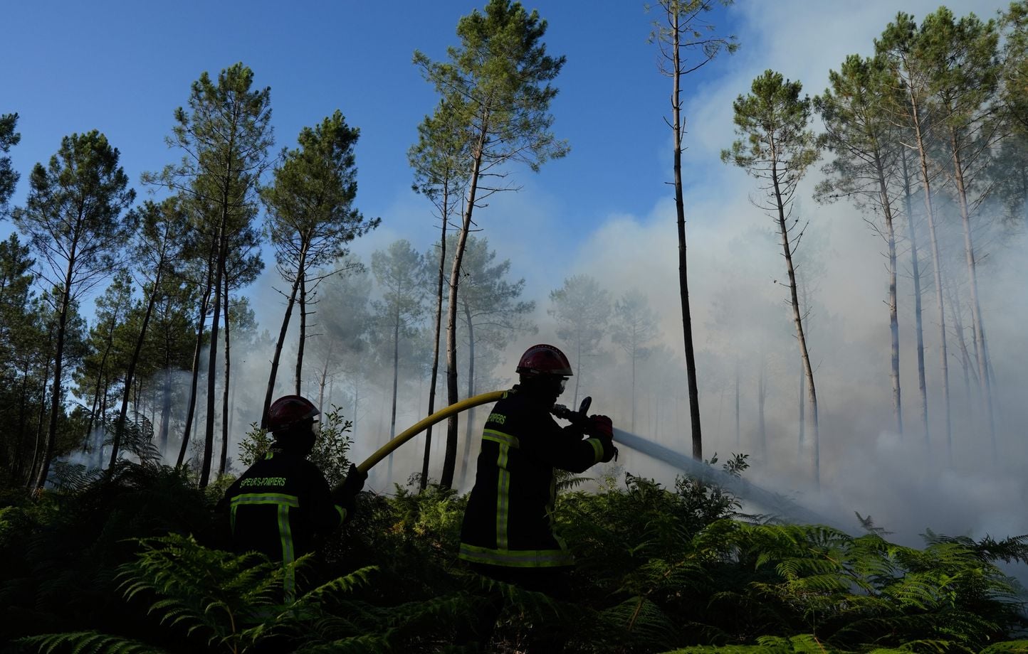 4.000 turistas evacuados preventivamente de Lacanau…. 4.000 turistas evacuados preventivamente de Lacanau….